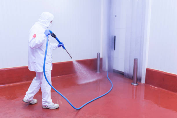 Trusted Clarksville, AR Pressure Washing Services Experts